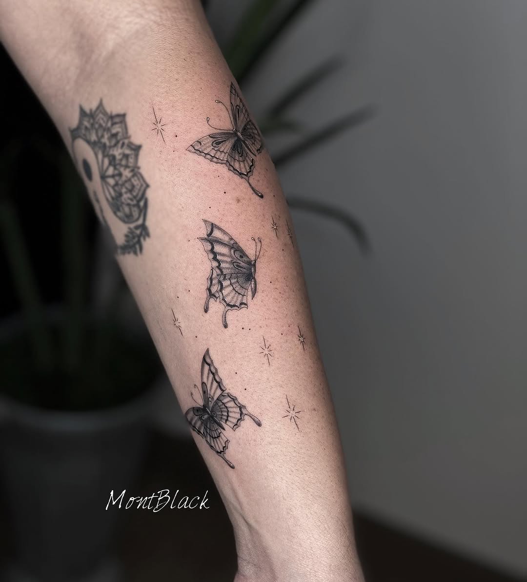 Animal, Nature, Dragon