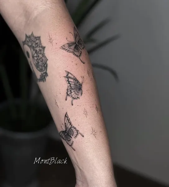 Animal, Nature, Dragon