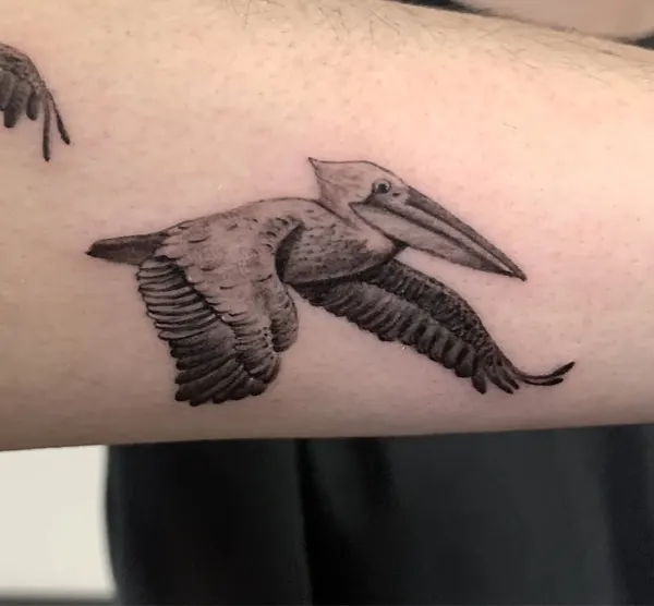 loko_lines