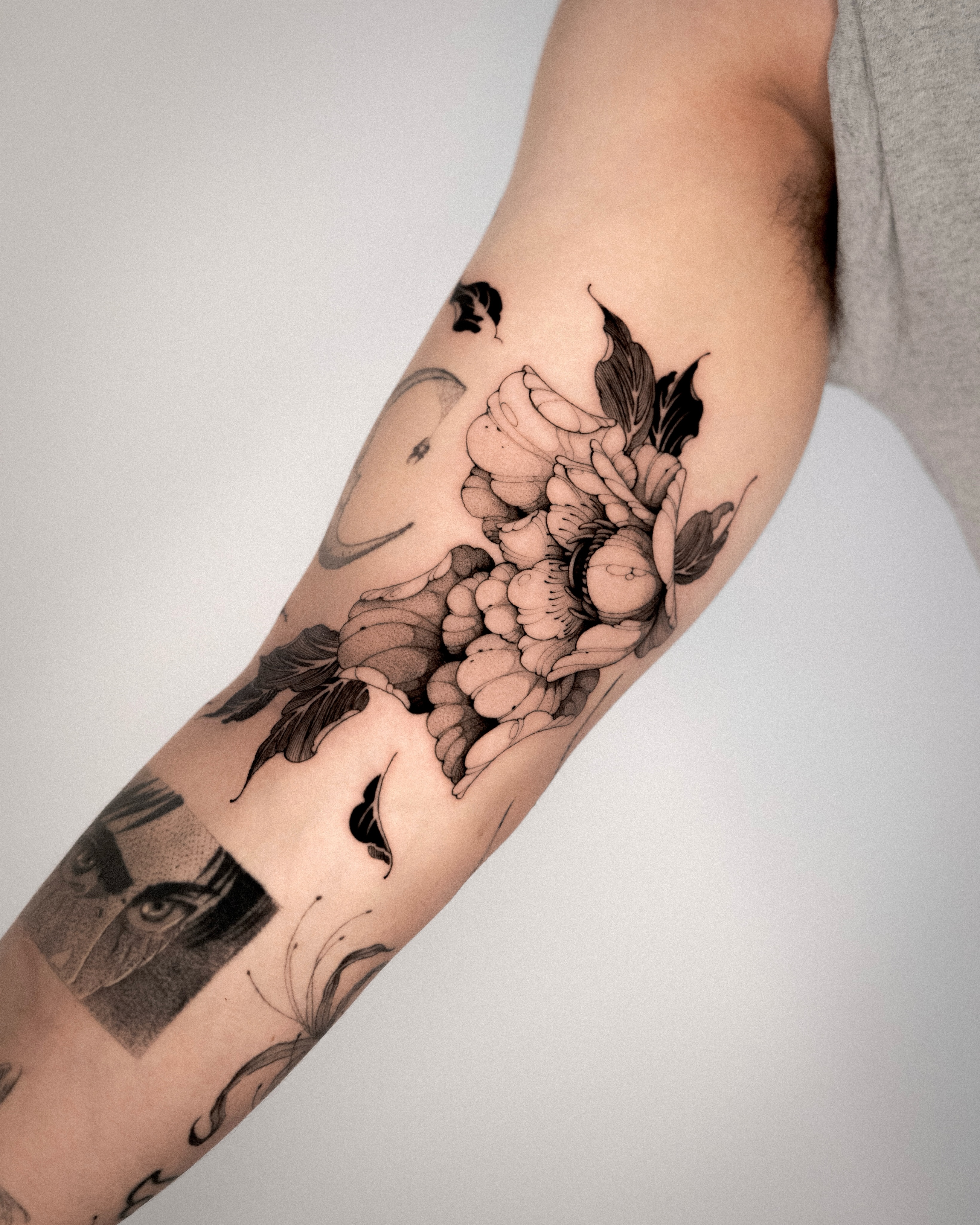 Rose, Flower