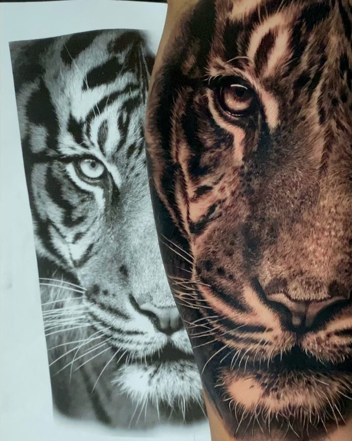 Tiger, 중국 호랑이