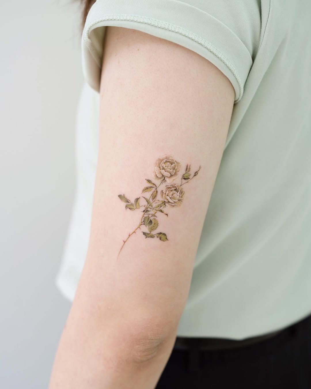 Flower, Rose, Nature