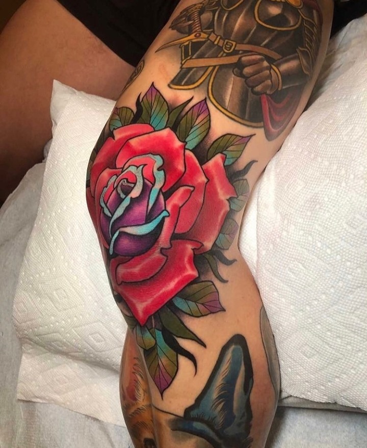 Flower, Rose