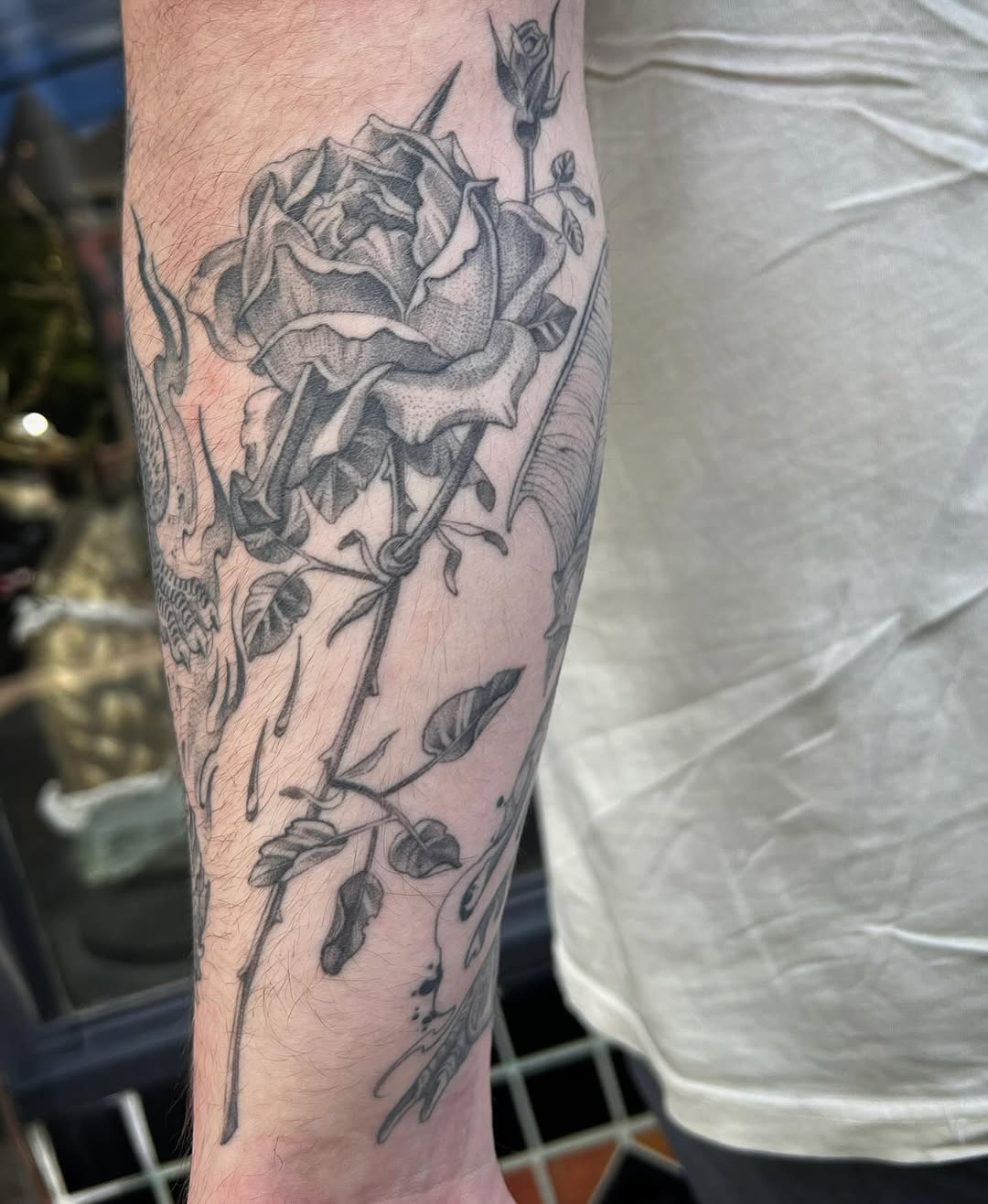 Flower, Rose