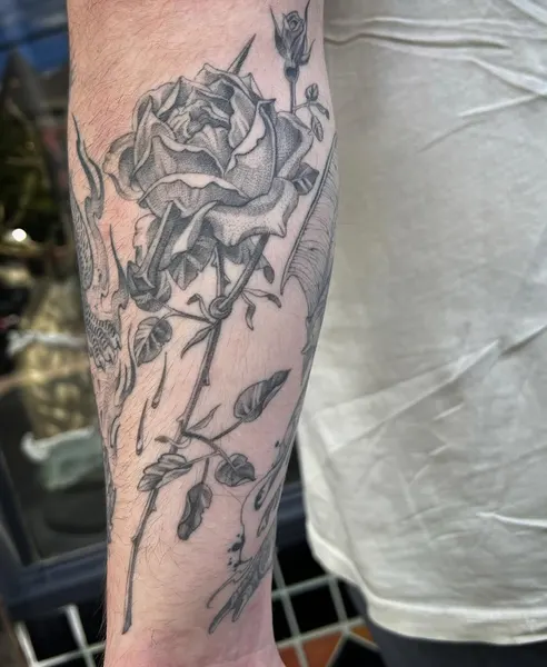 Flower, Rose