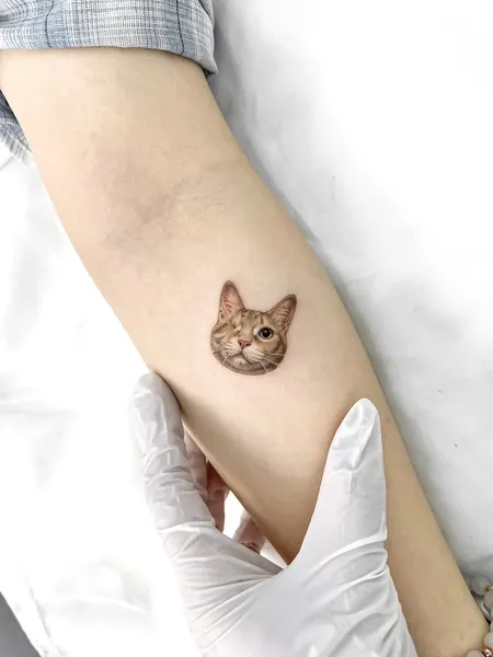 Animal