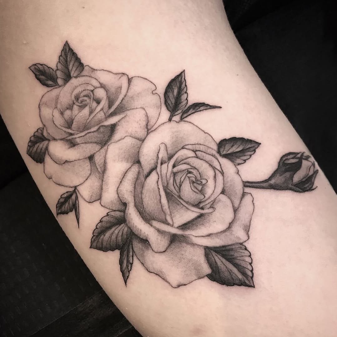 Flower, Rose