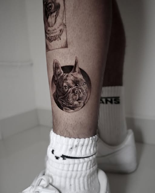 kate_sv_art