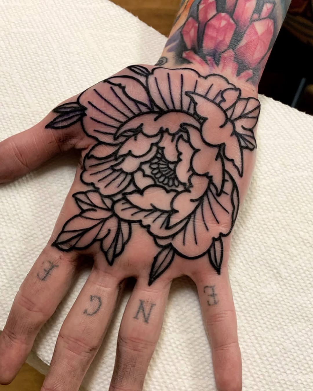 Flower, Rose