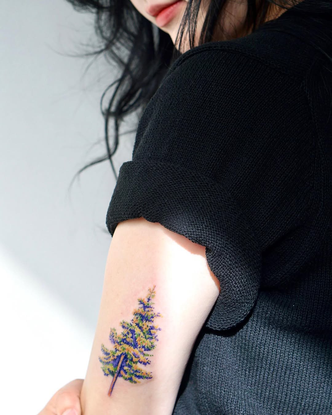 Nature, 소나무