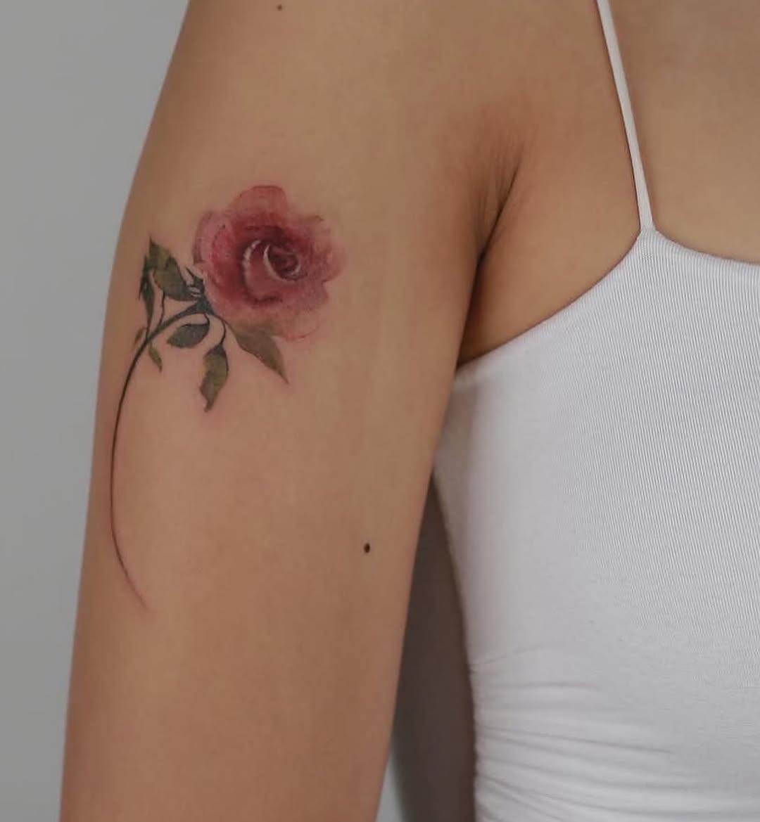 Flower, Rose