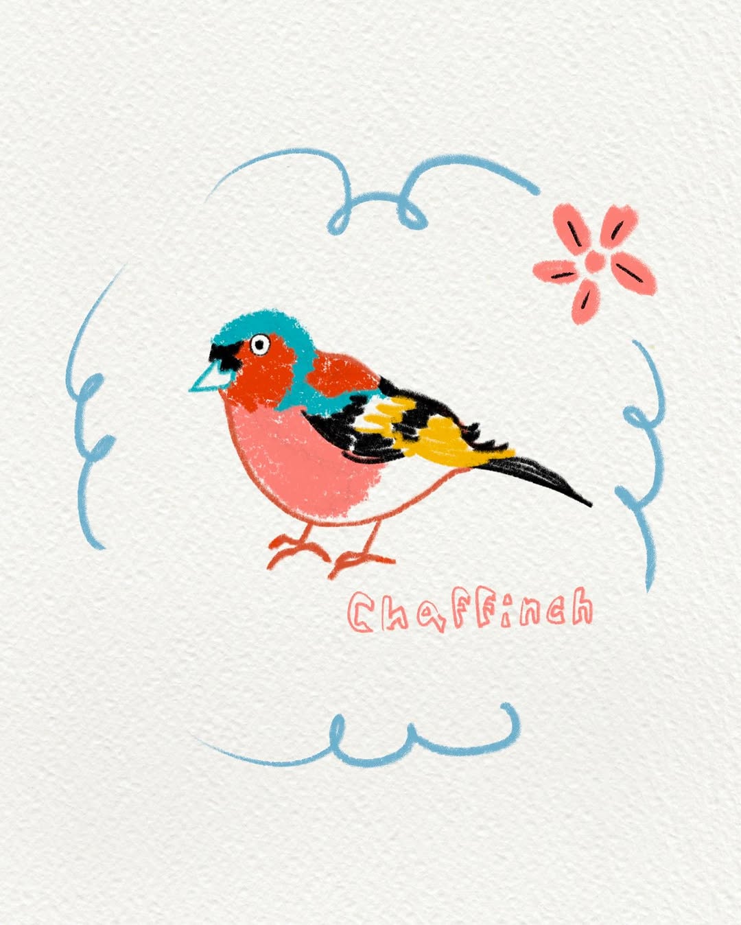Animal, Flower