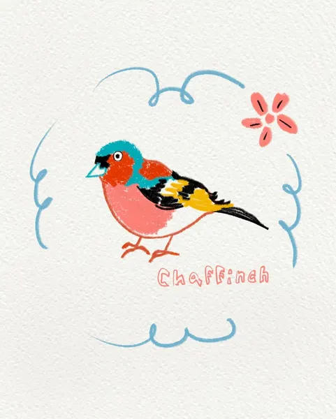 Animal, Flower