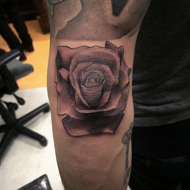 Flower, Rose