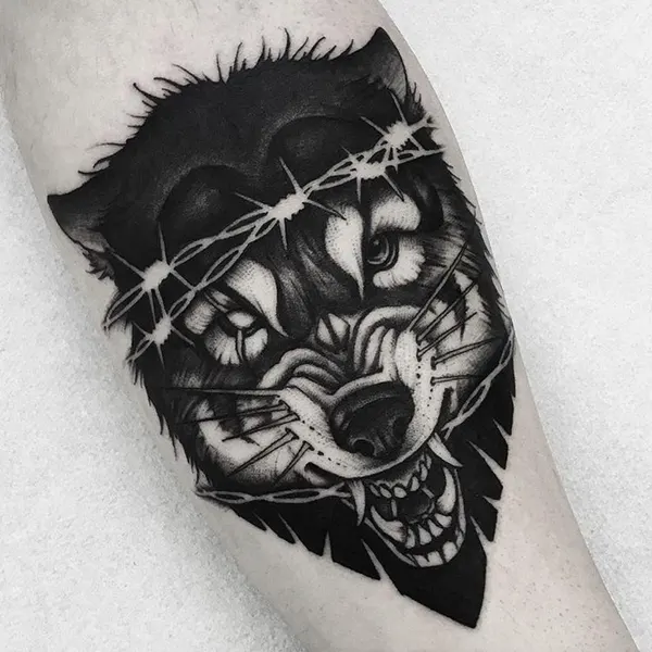 Animal, Tiger
