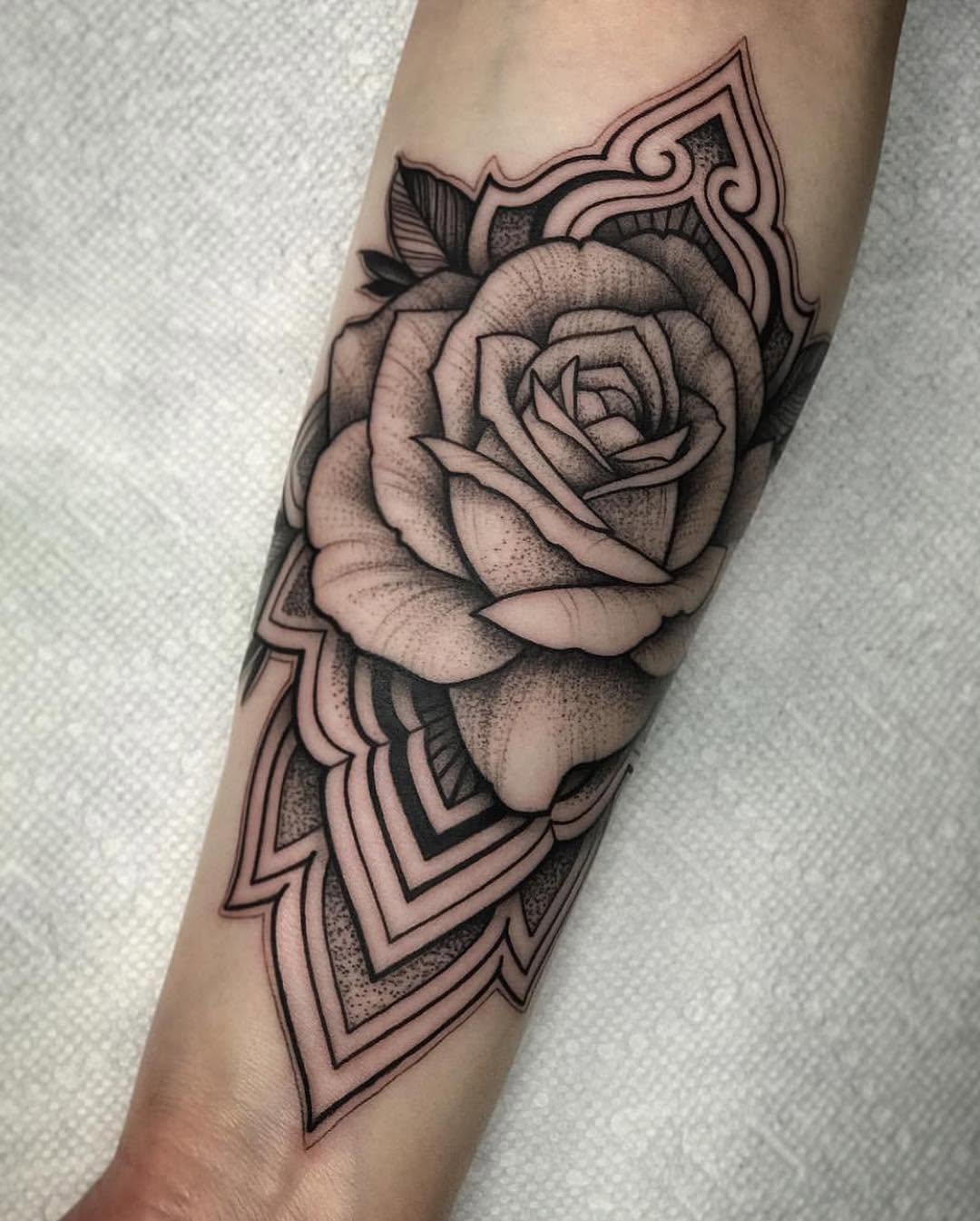 Rose, Flower