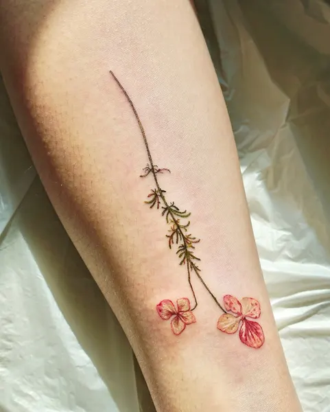 Flower