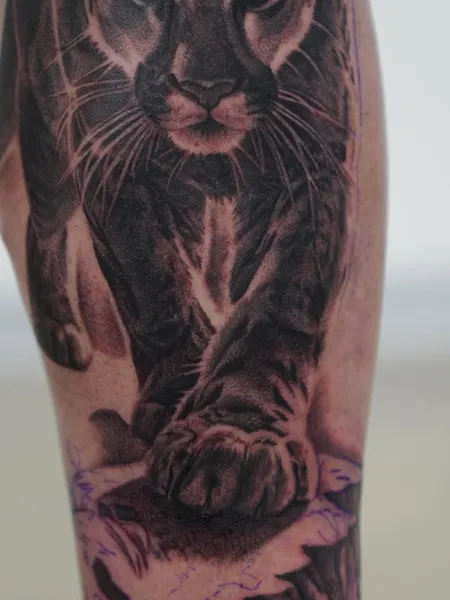 Animal, Tiger