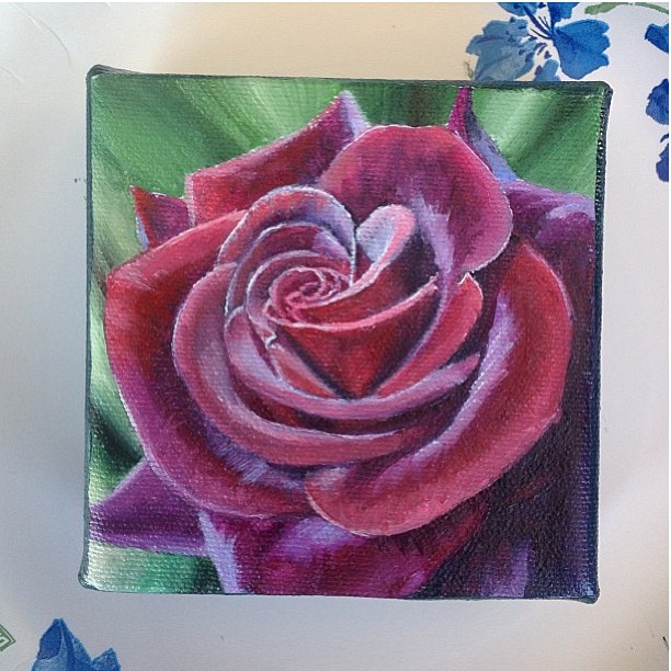 Flower, Rose