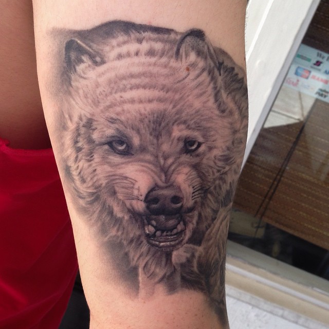Animal