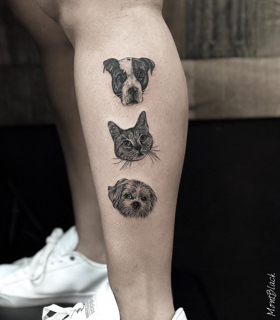 Animal