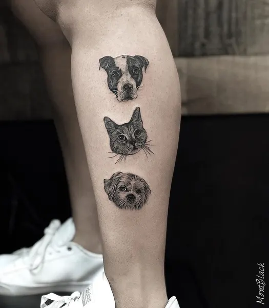 Animal