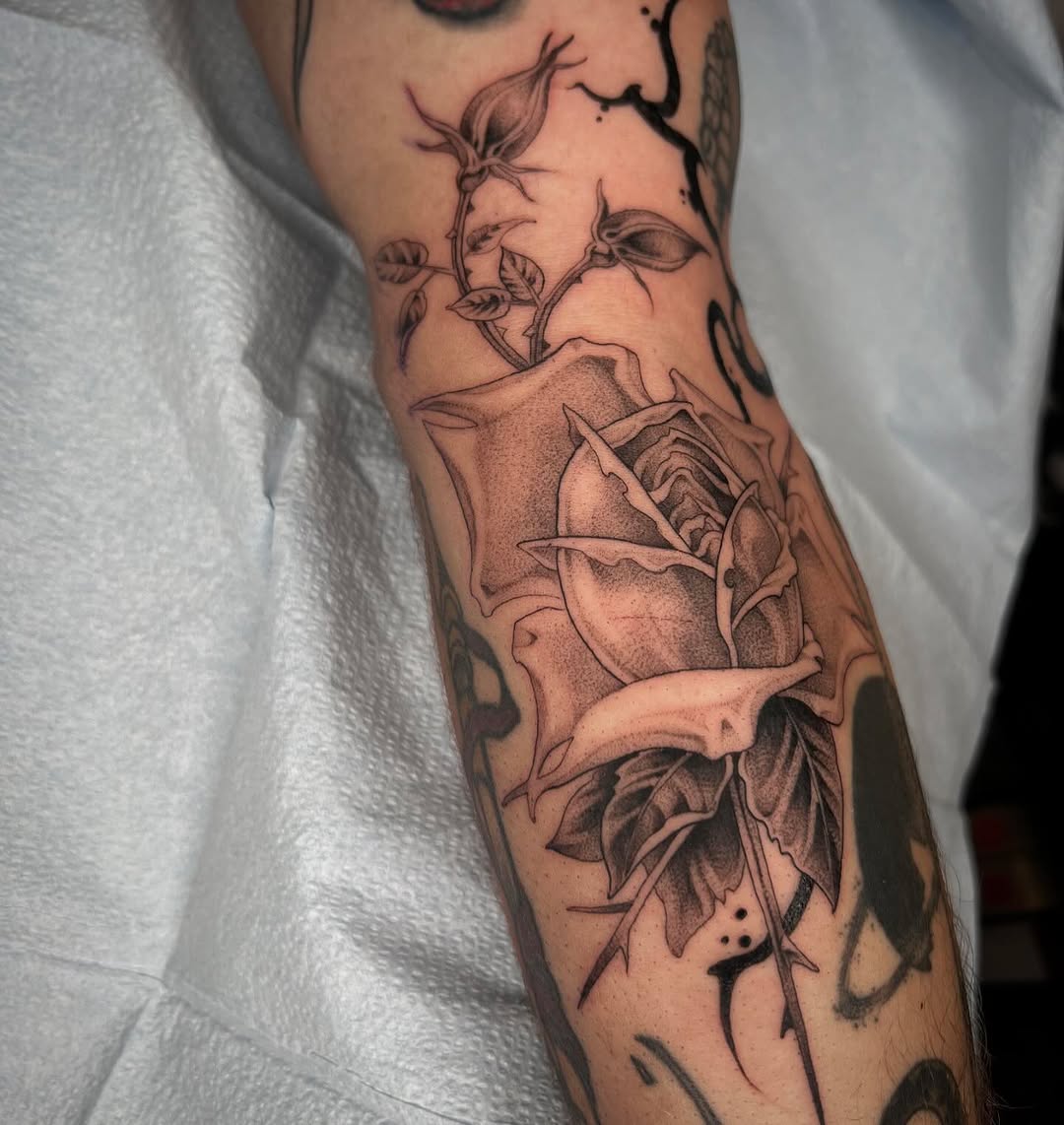 Flower, Rose
