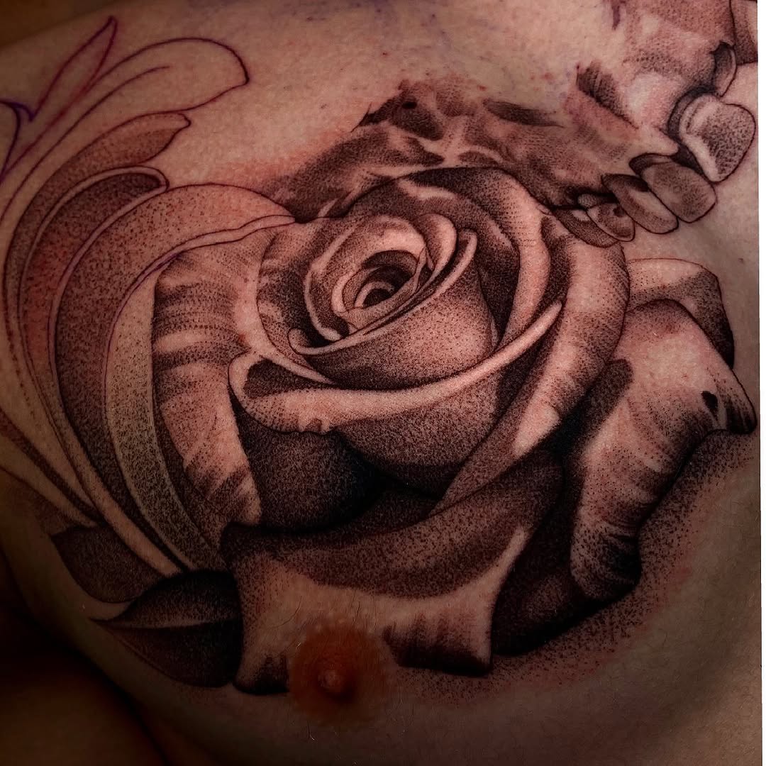 Flower, Rose, Nature
