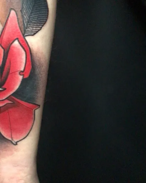 Flower, Rose