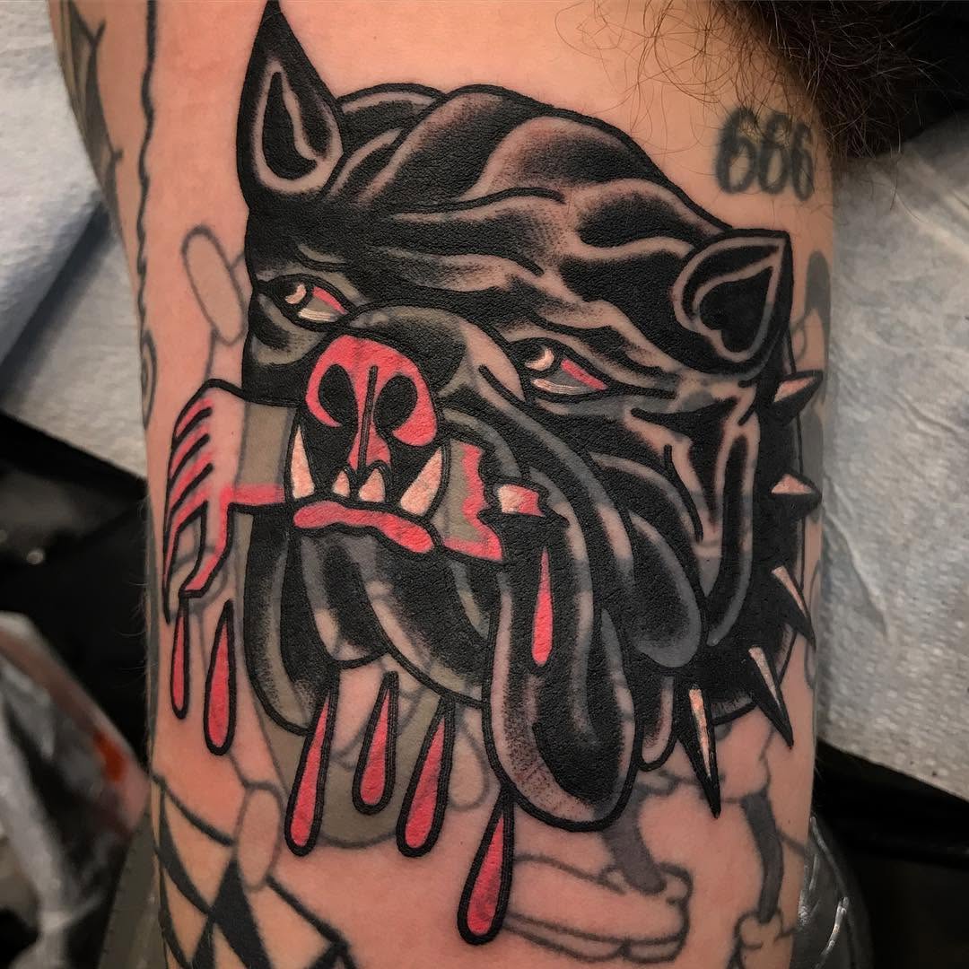 Tiger, Animal