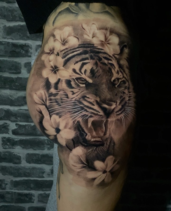 Tiger, 재규어