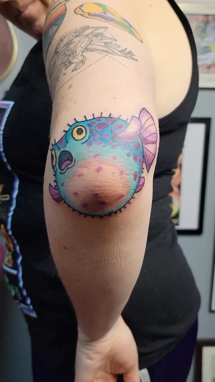 equilattera