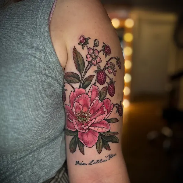 Flower, Rose, Nature