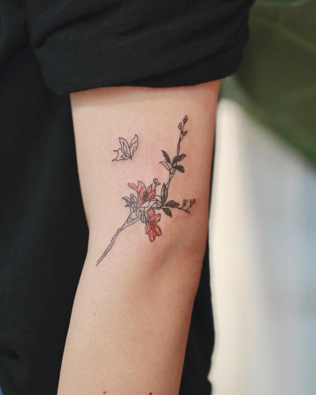 Flower, Rose