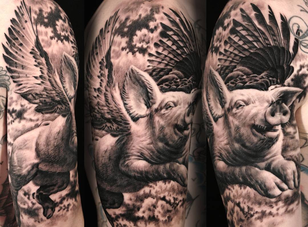 Animal