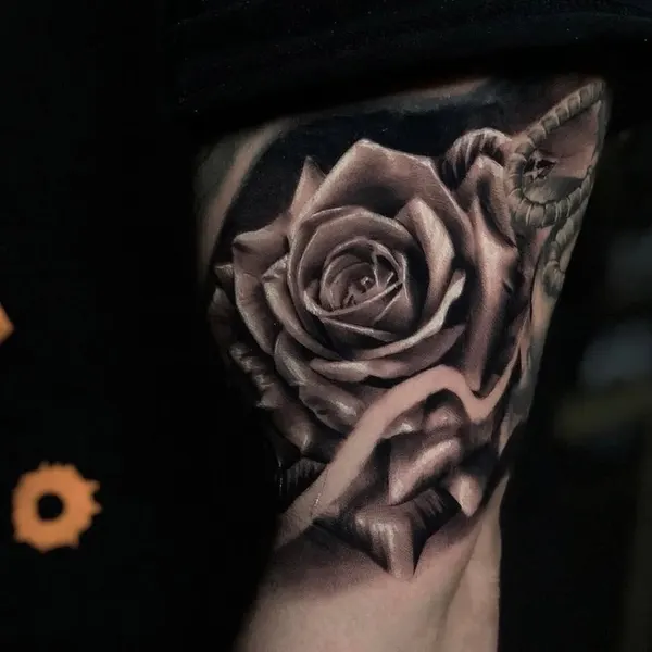 Flower, Rose