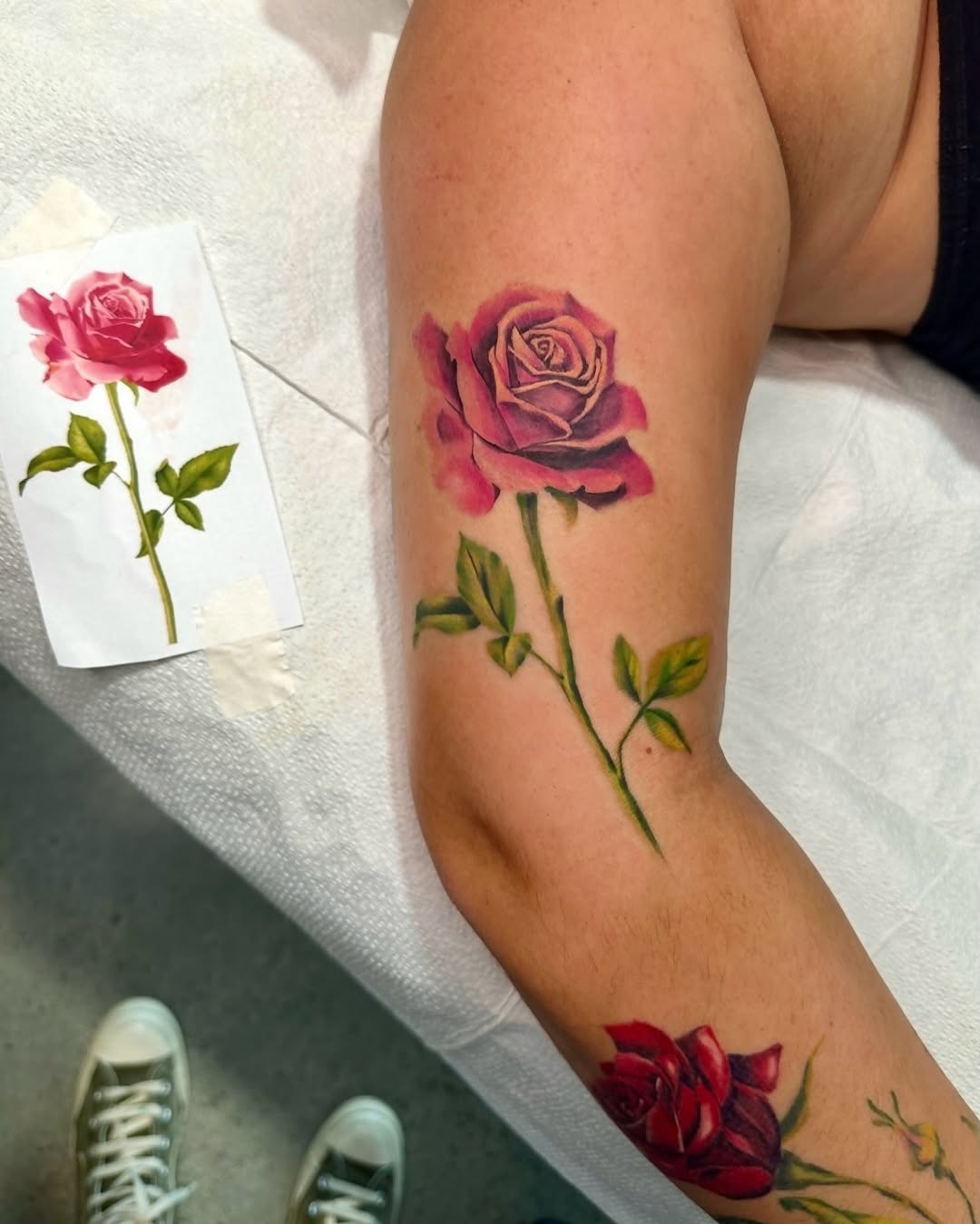 Flower, Rose