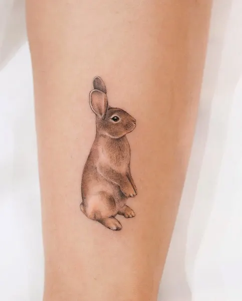 Animal