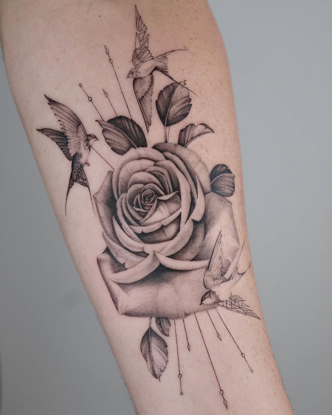 Rose, Flower