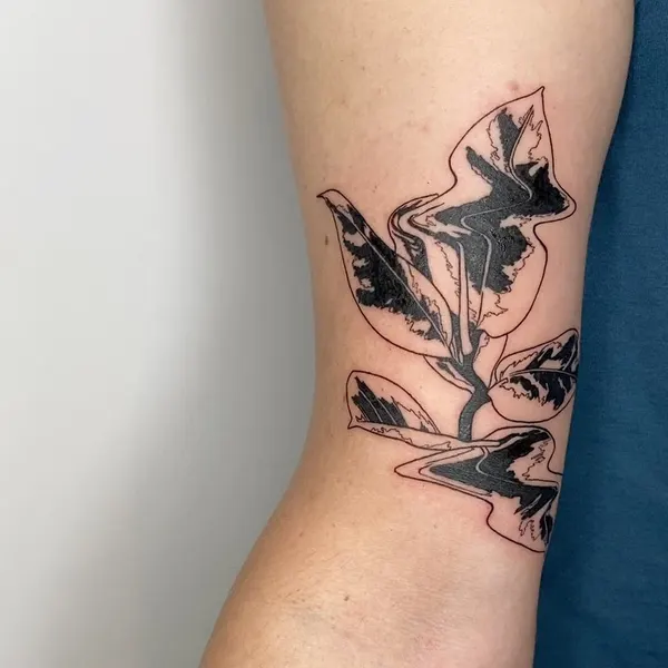 plantsnpokes