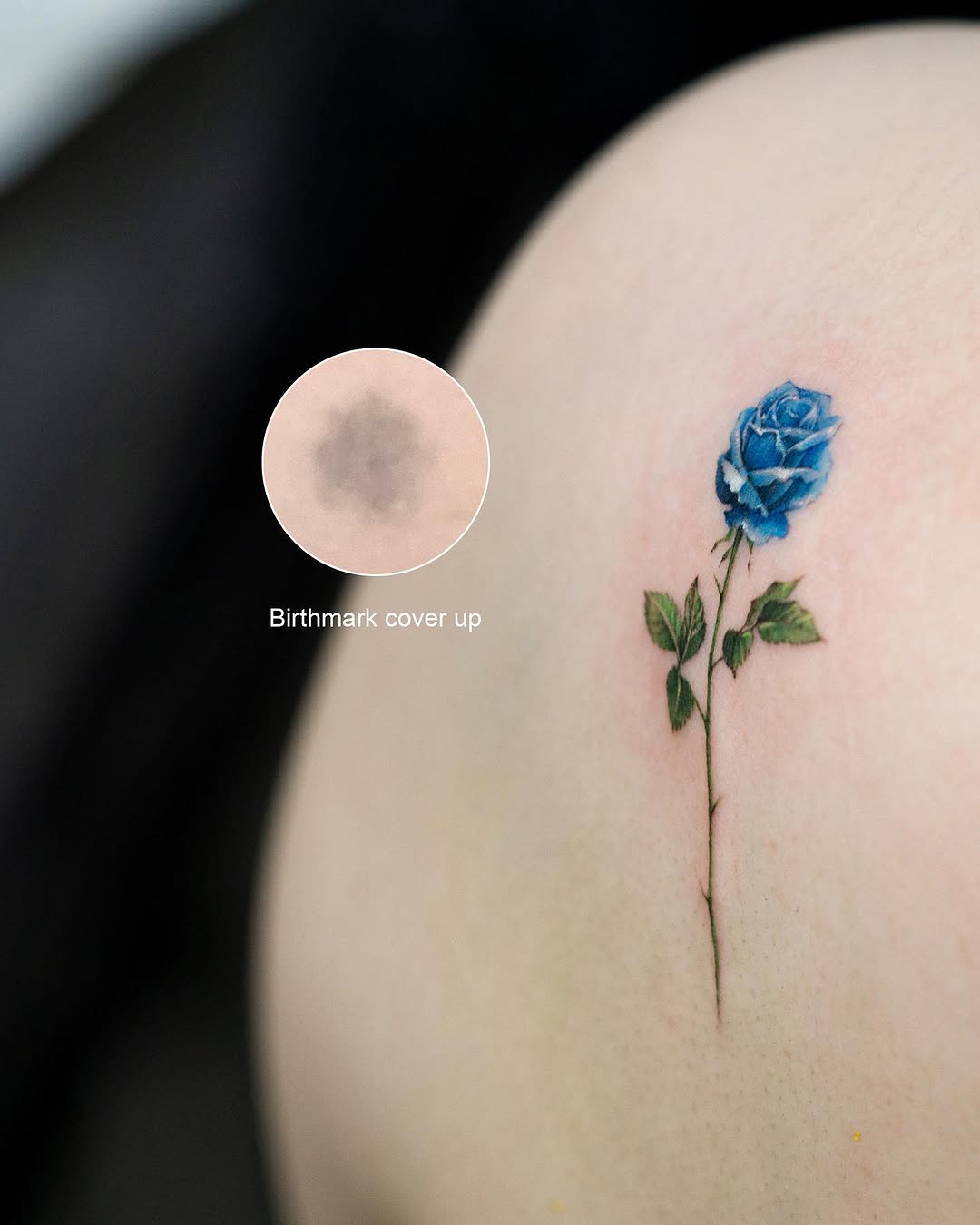 Rose, Flower