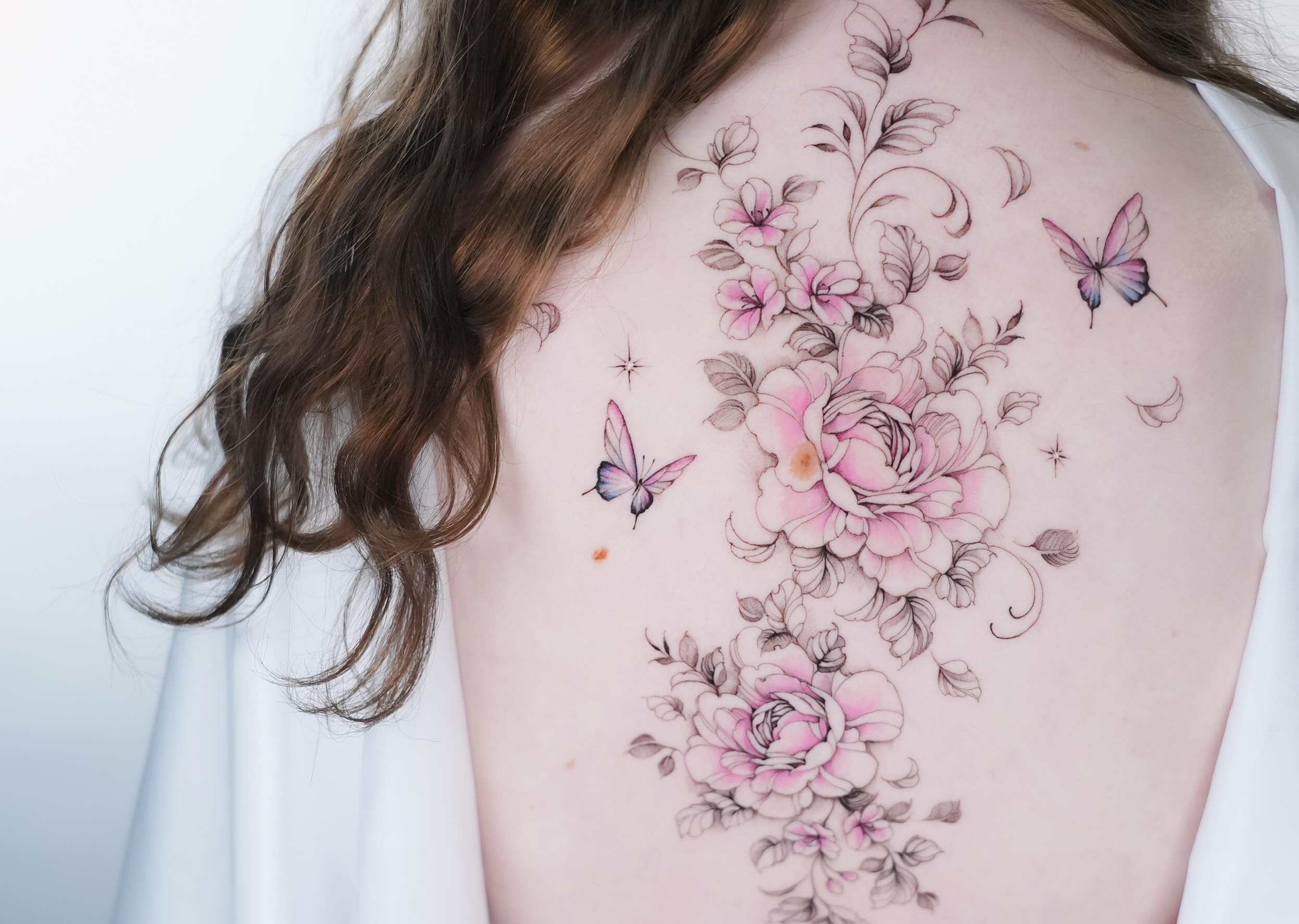 Nature, Rose, Flower