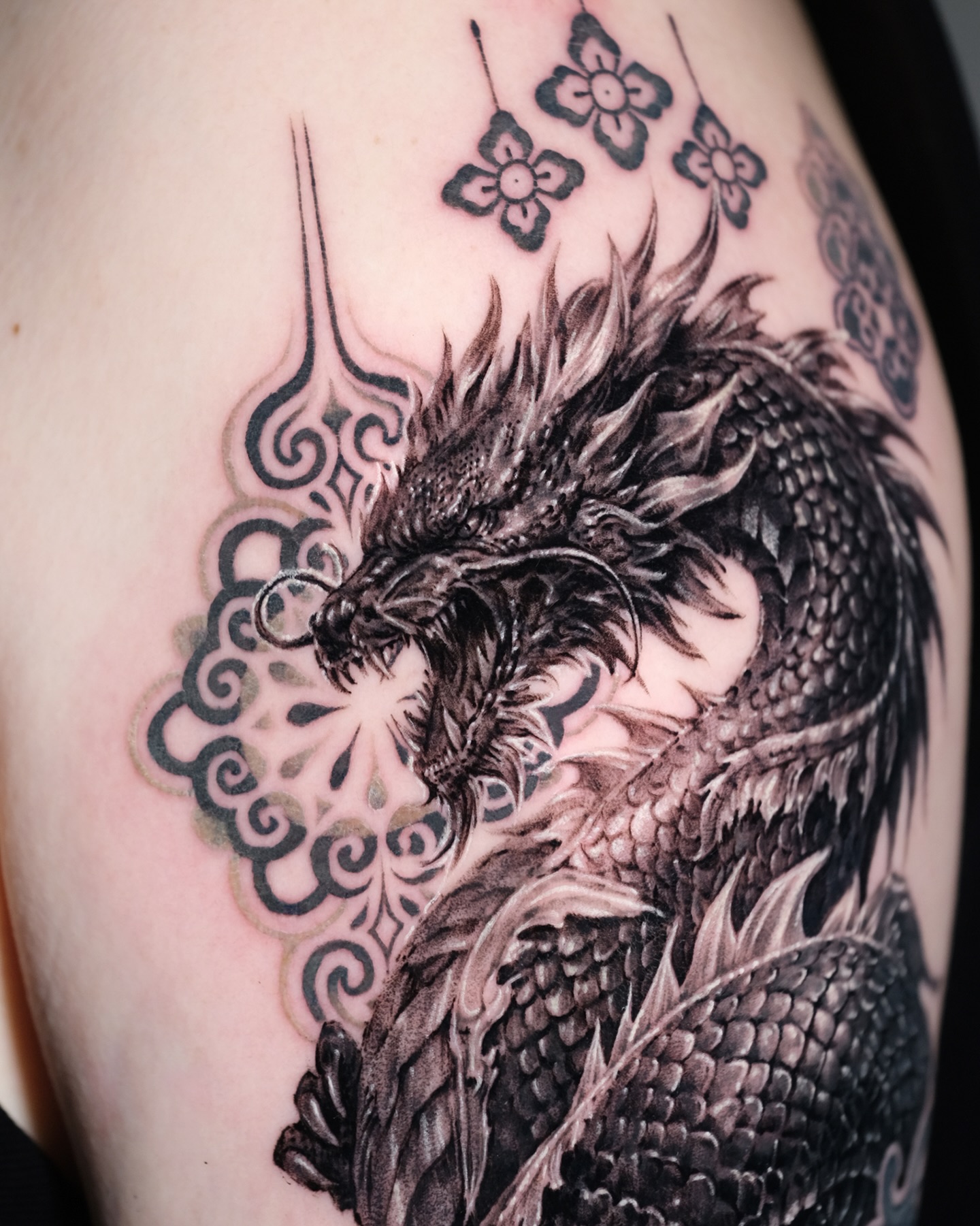 Dragon