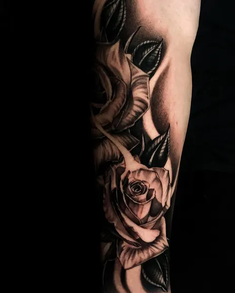 Flower, Rose