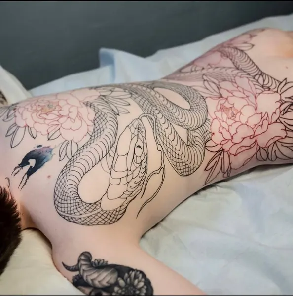Dragon