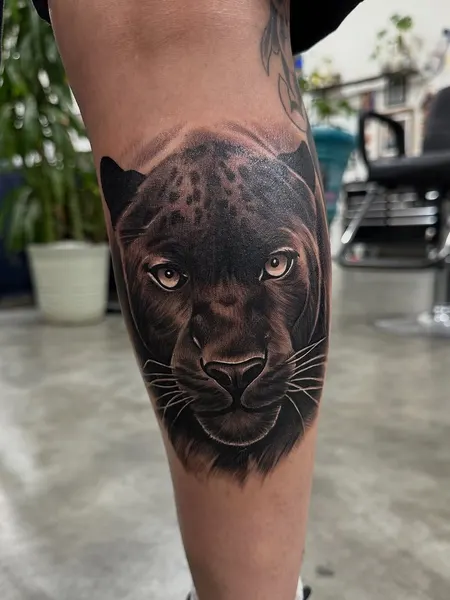 Animal