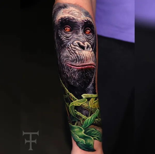 Tiger, Animal