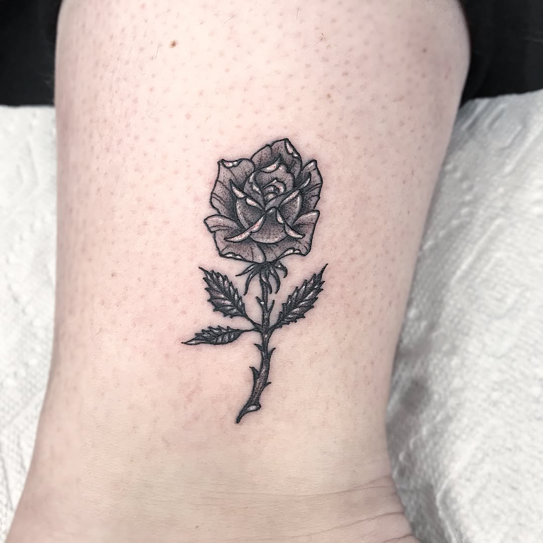 Flower, Rose