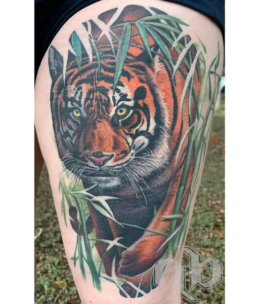 Tiger