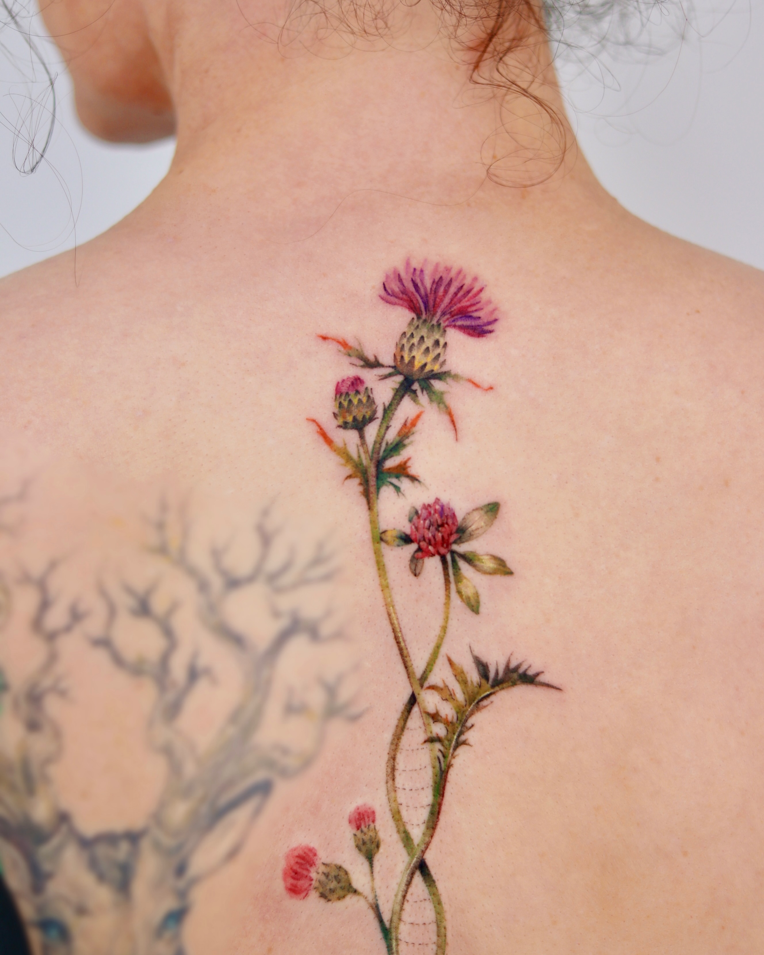 Flower, Nature